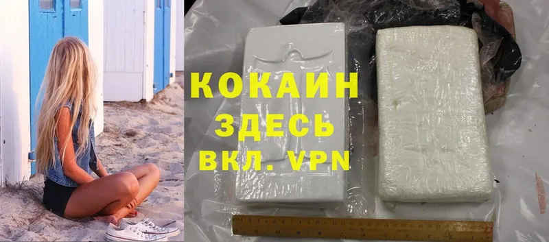 Кокаин FishScale  продажа наркотиков  Бородино 